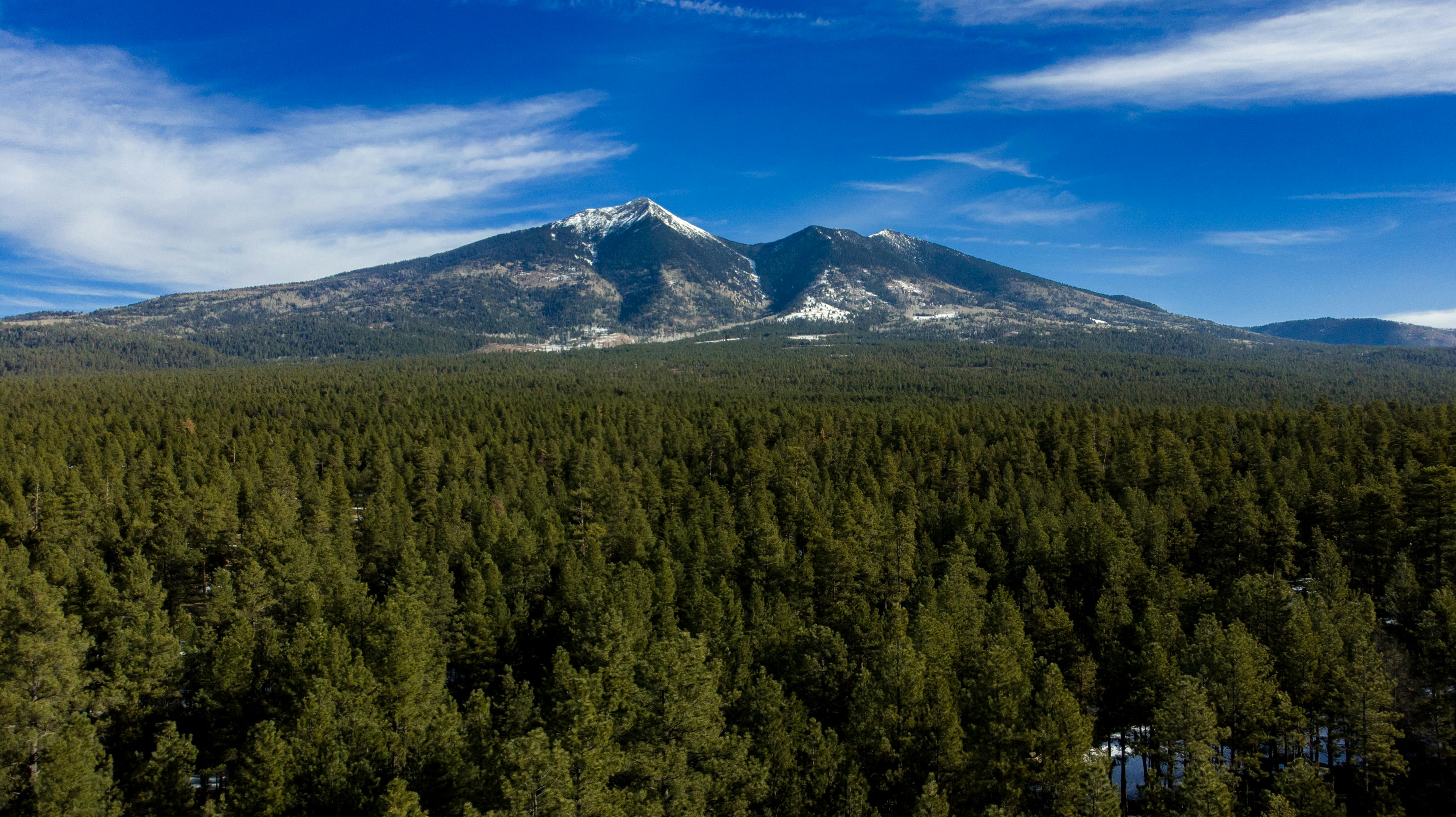 Snow-dusted mountains above Flagstaff’s ponderosa pine forest